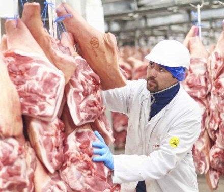 精肉の様子